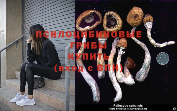 бошки Хадыженск