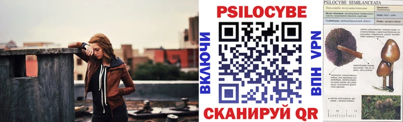 даркнет сайт  Кострома  Псилоцибиновые грибы Psilocybe 